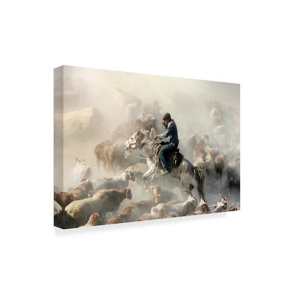 Adam Wong 'Migration Horse' Canvas Art,16x24